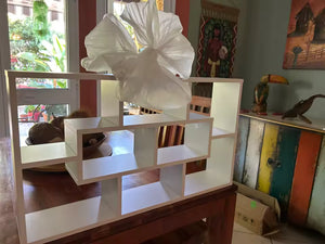 Photo partagée par Rayan K.