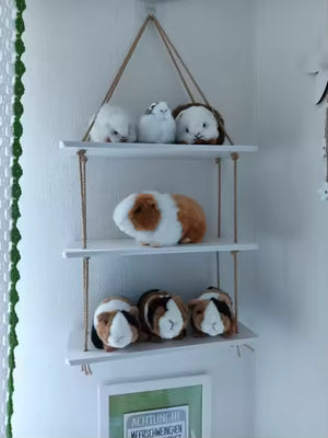 Photo partagée par Maëlle R.