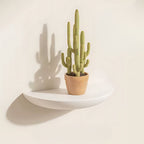 Étagère murale demi-cercle