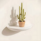 Étagère murale demi-cercle