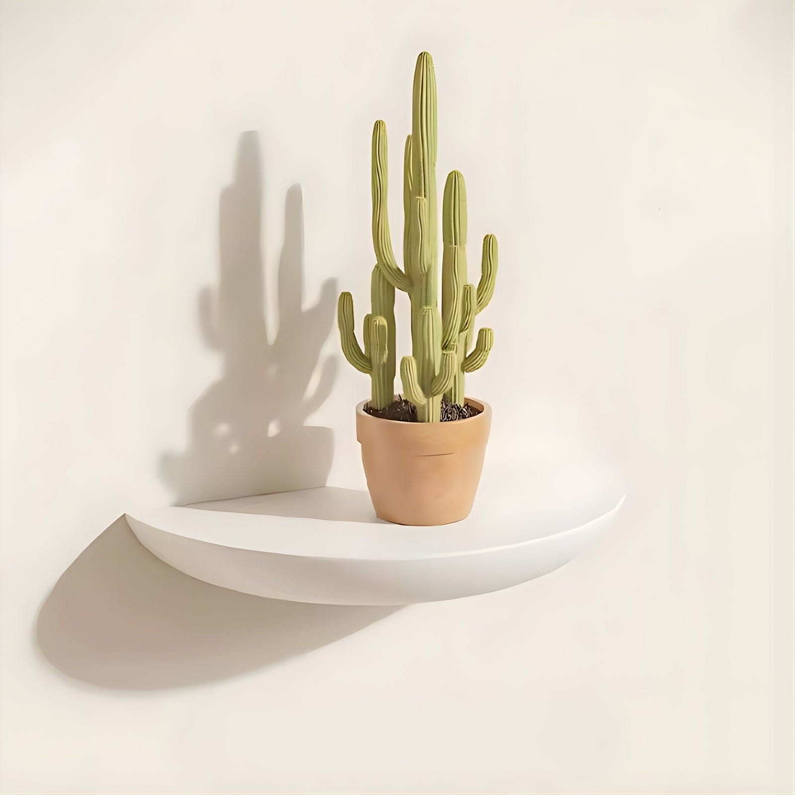 Étagère murale demi-cercle